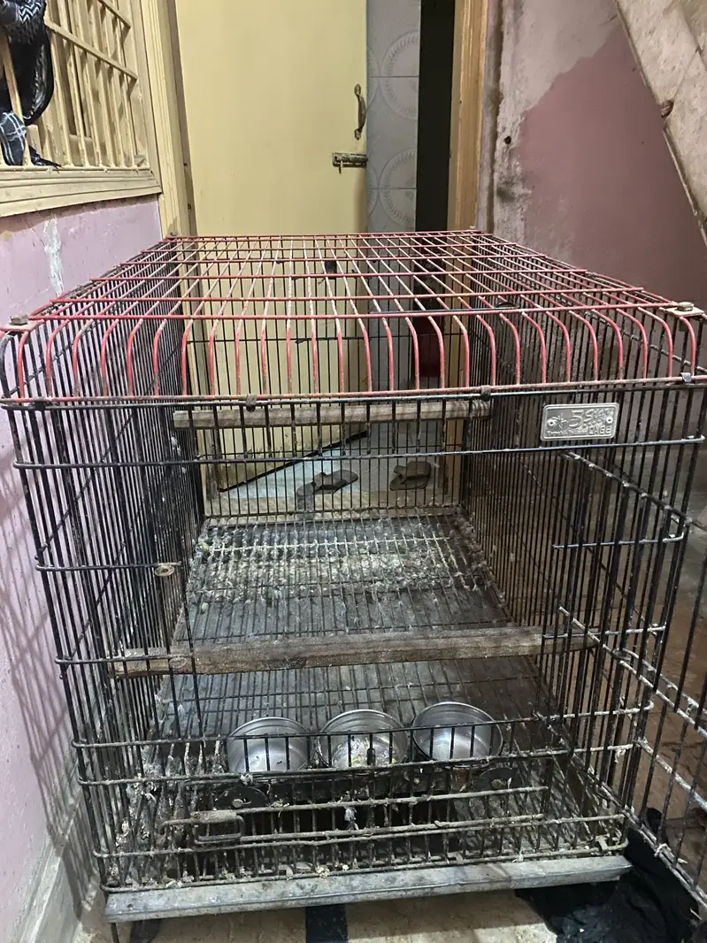 3x2 Iron Parrot/Bird Cage For Sale | With Feeder Bowls — photo 2