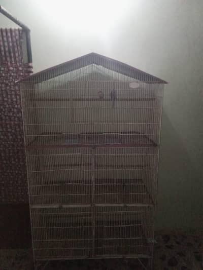 Birds cage