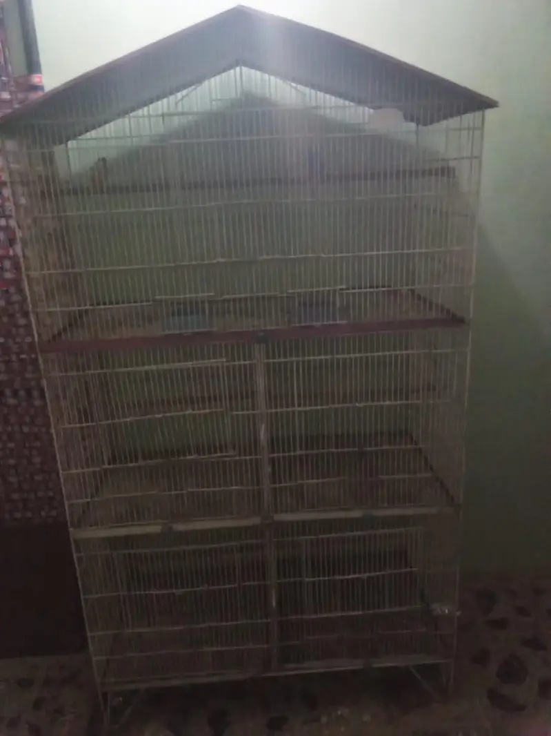 Birds cage — photo 3
