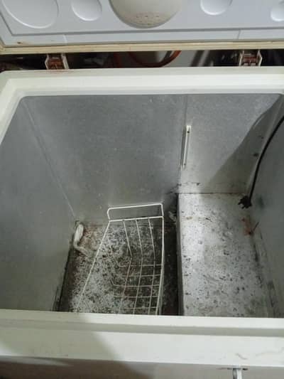 Haier freezer