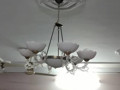 Chandeliers (Fanoos) for sell.