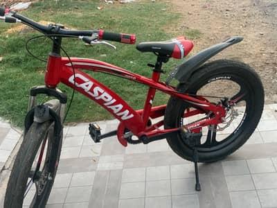 22 inches cycle