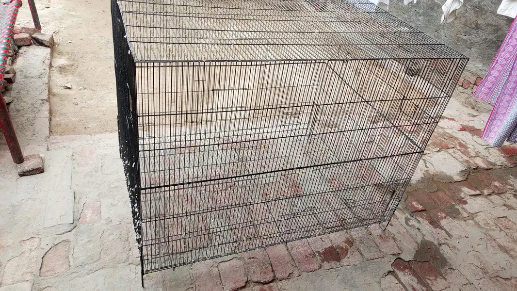 Cage for sale flying cage fix — photo 3