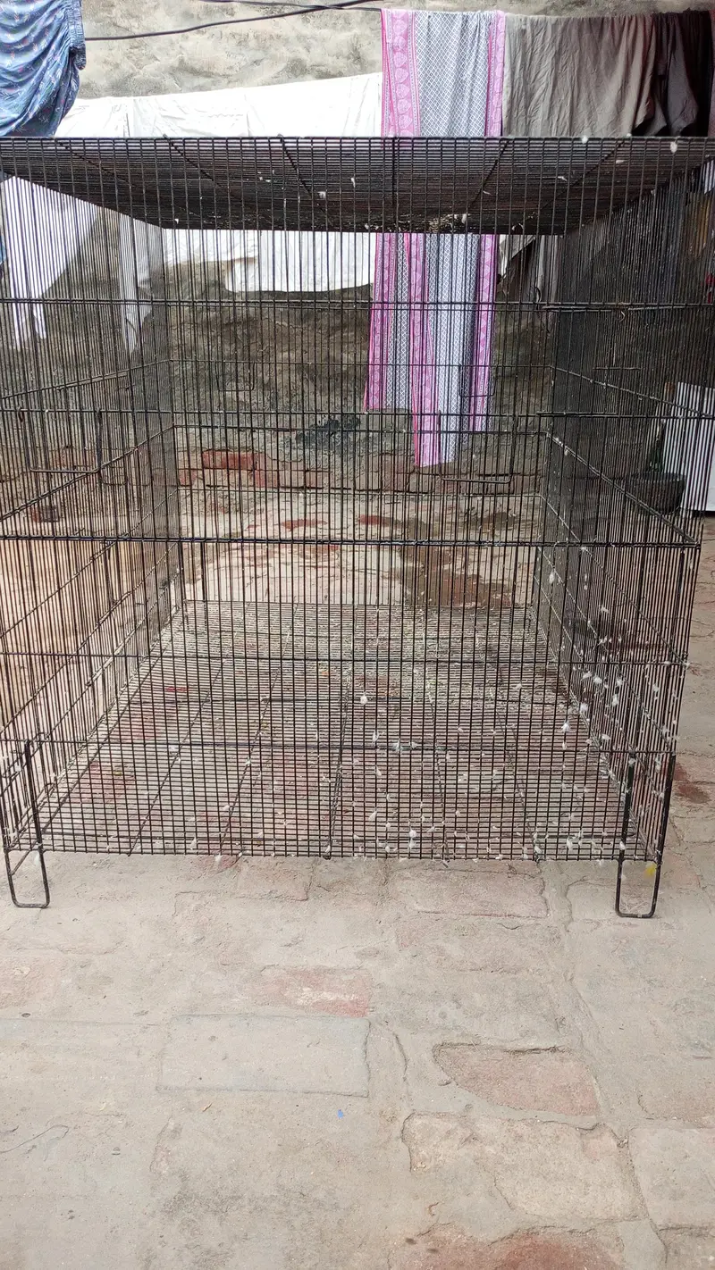 Cage for sale flying cage fix — photo 4