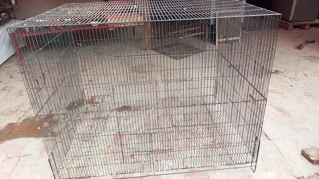 Cage for sale flying cage fix — photo 5