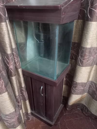 1.5 fit ka tang hai or submersible filter hai with watr proof light