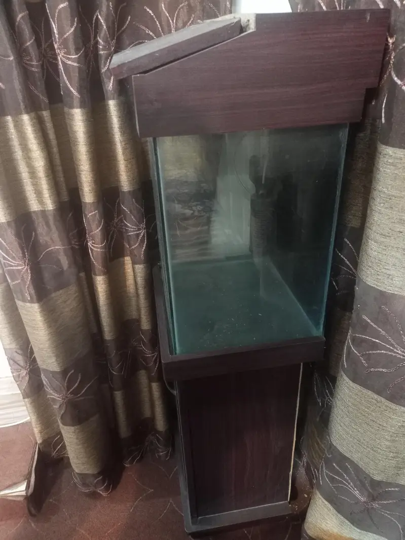 1.5 fit ka tang hai or submersible filter hai with watr proof light — photo 2