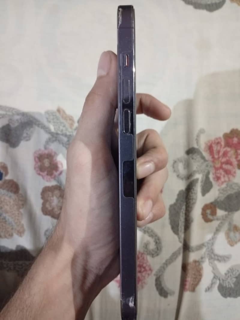 14 pro max 1
