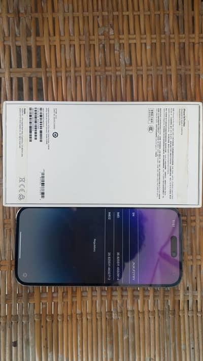 Apple iPhone 14 Pro Max icloud locked