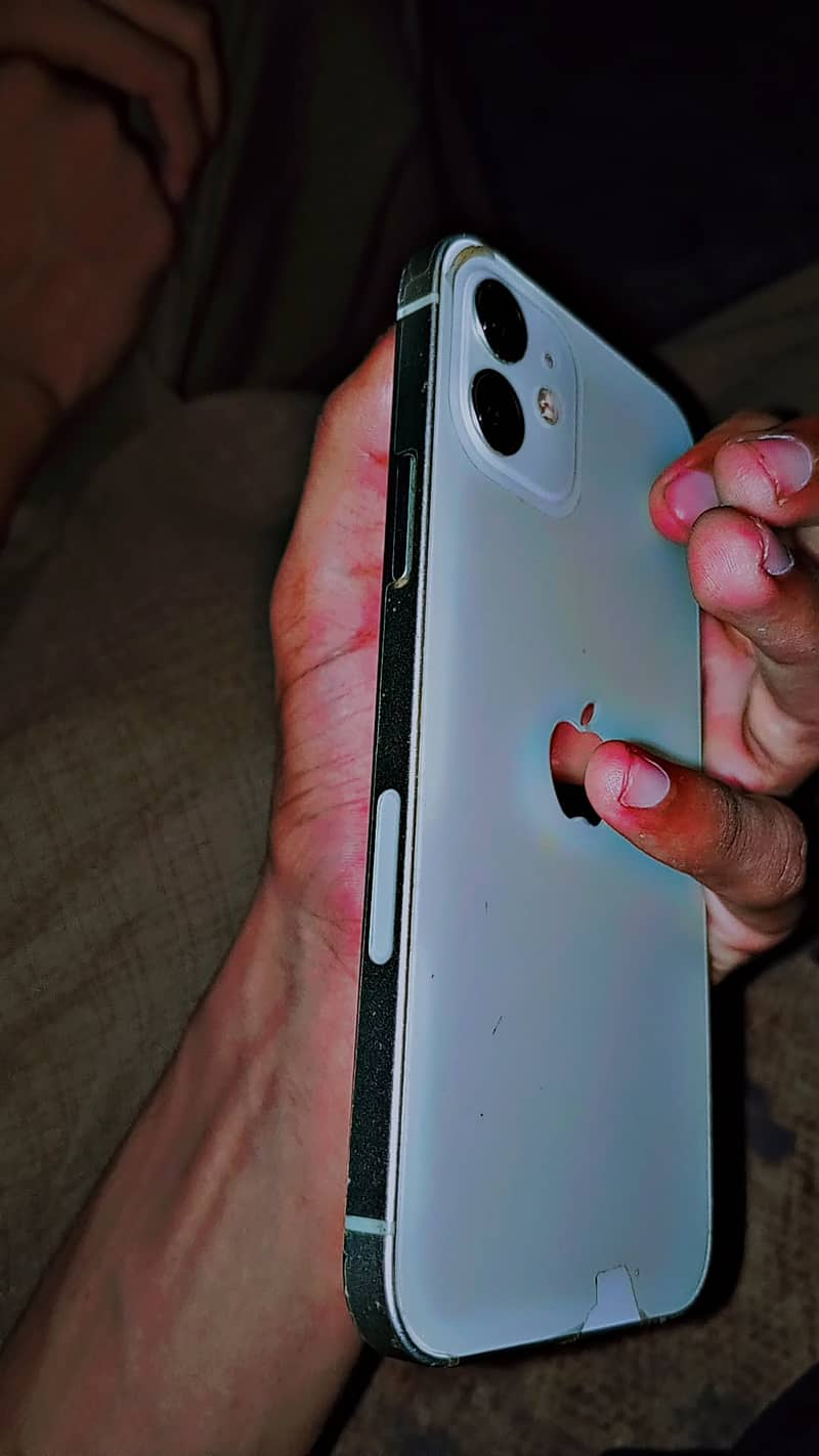 Apple iPhone 12 1