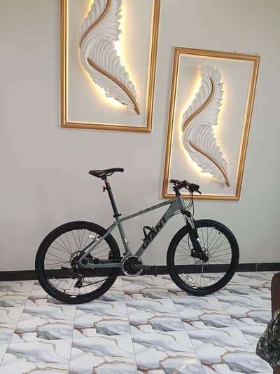 Giant cycle size 26
