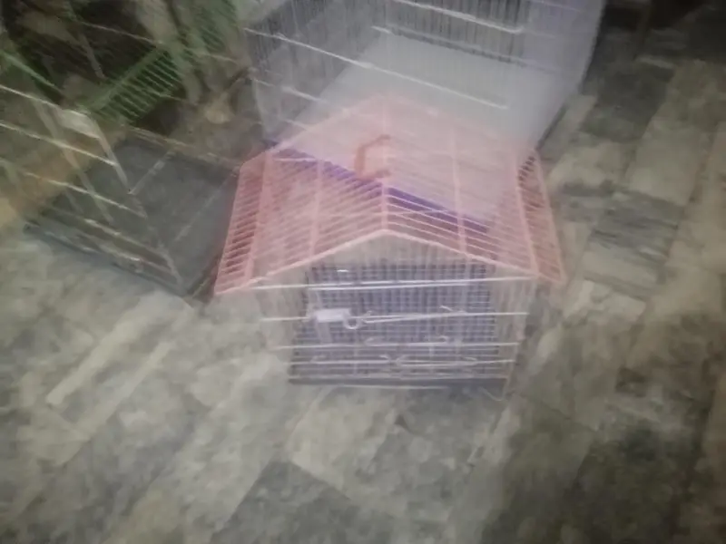cages&box for sell — photo 2