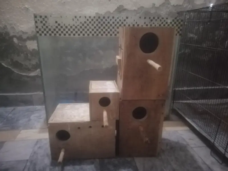 cages&box for sell — photo 3