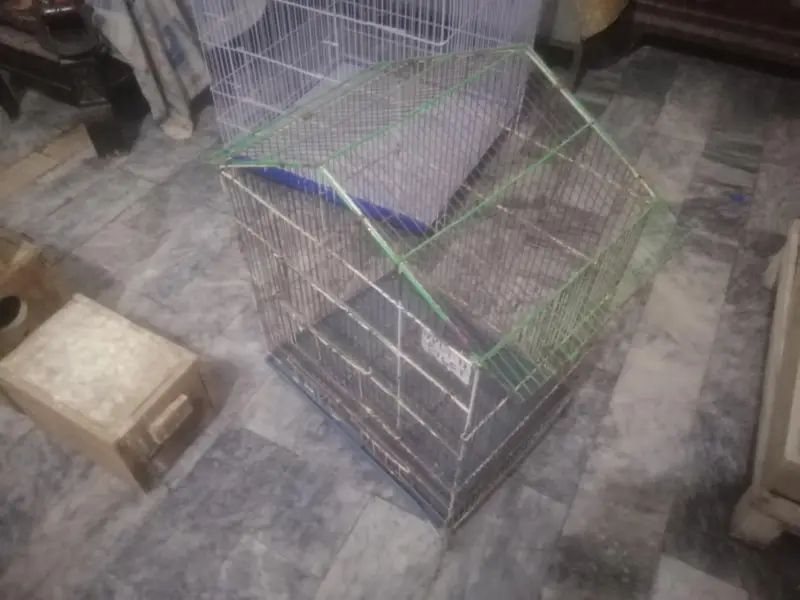 cages&box for sell — photo 4