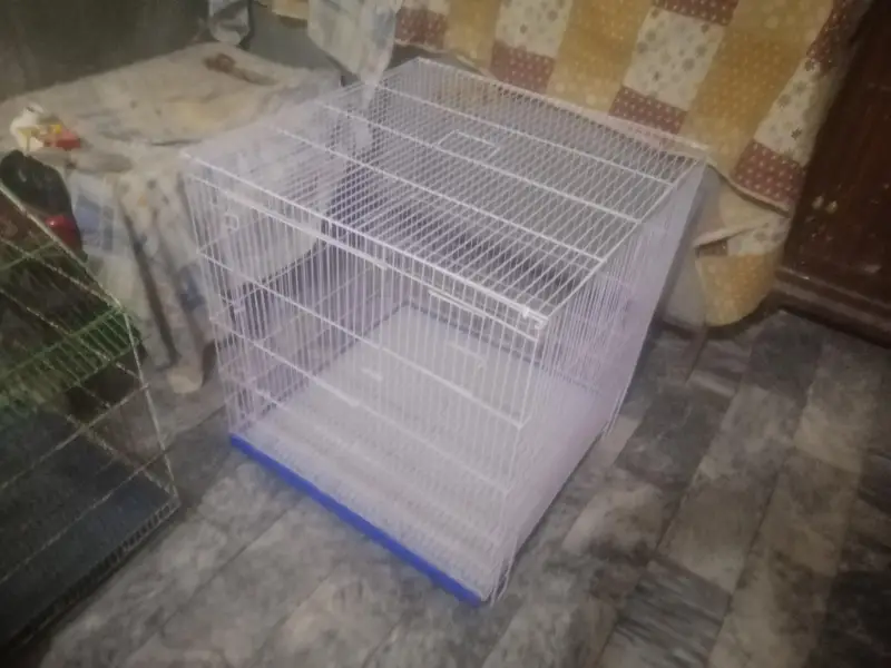 cages&box for sell — photo 5