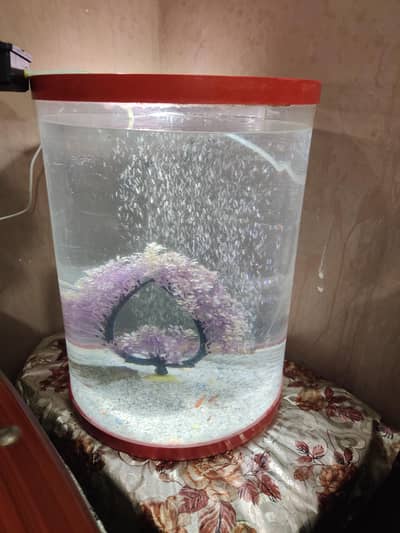 Fish equarium for sale.