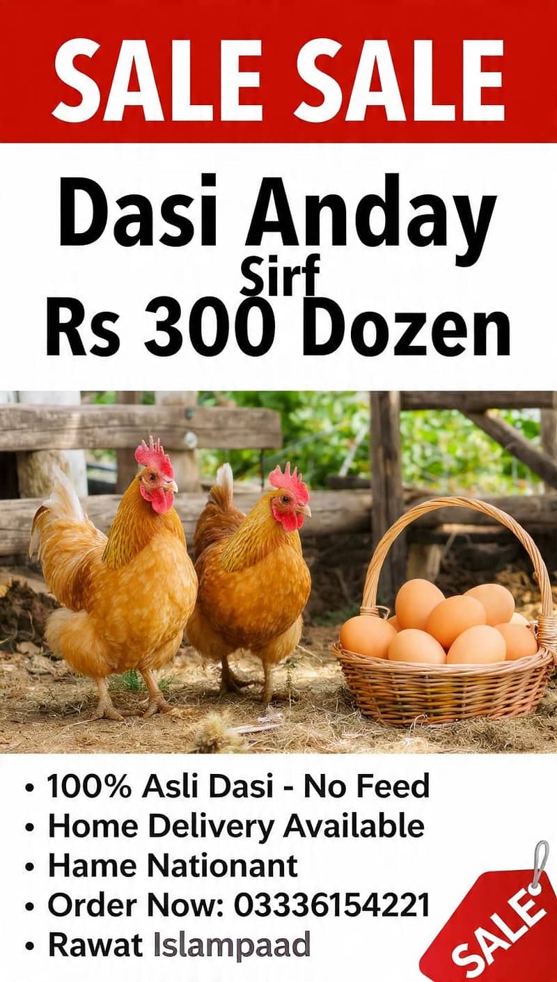 dasi eggs 0