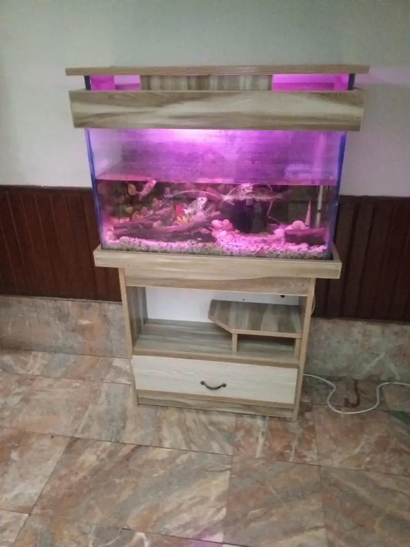 Aquarium with fishes