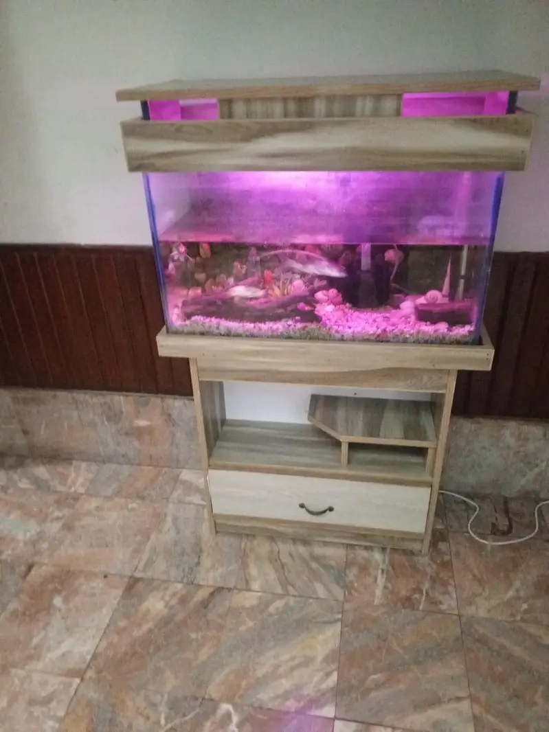 Aquarium with fishes — photo 2
