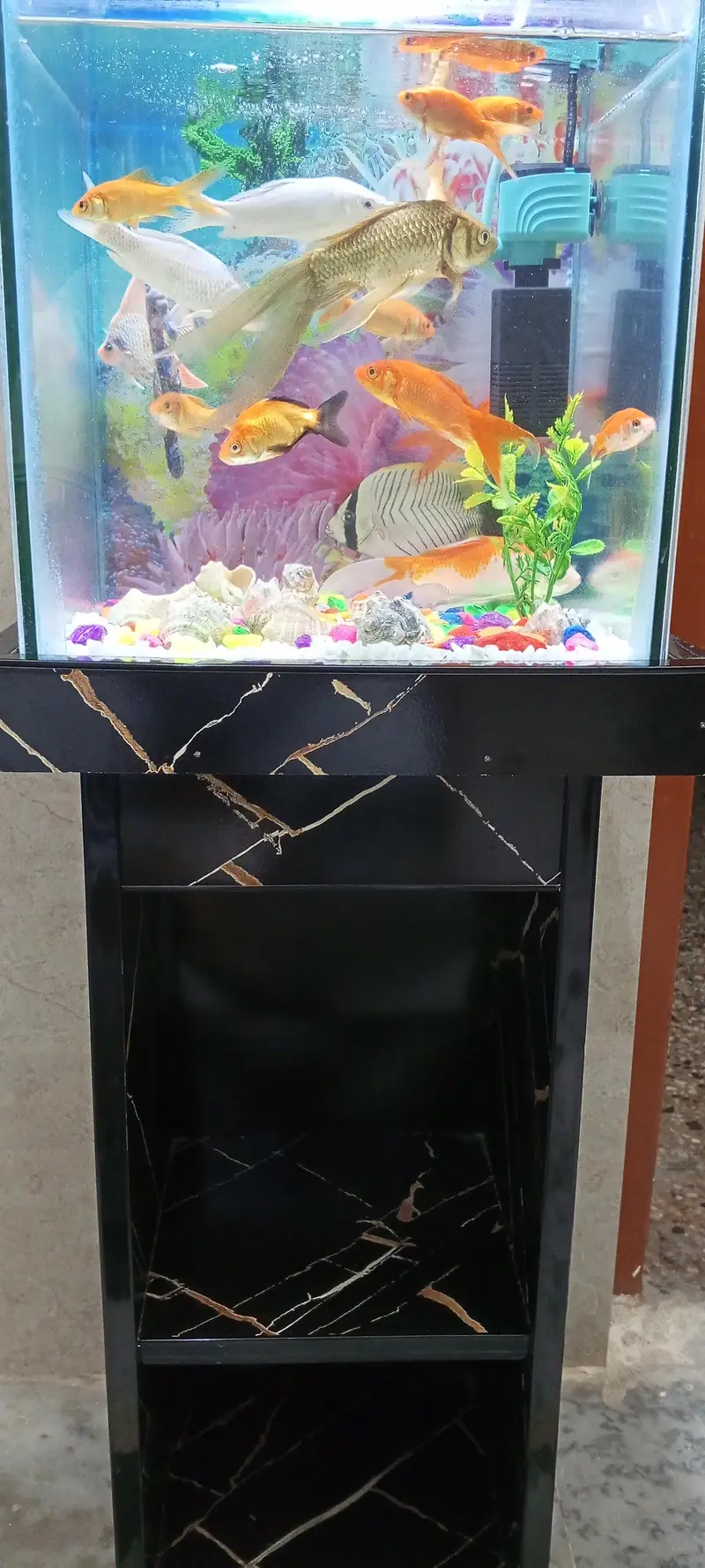 Aquarium for Sale — photo 2