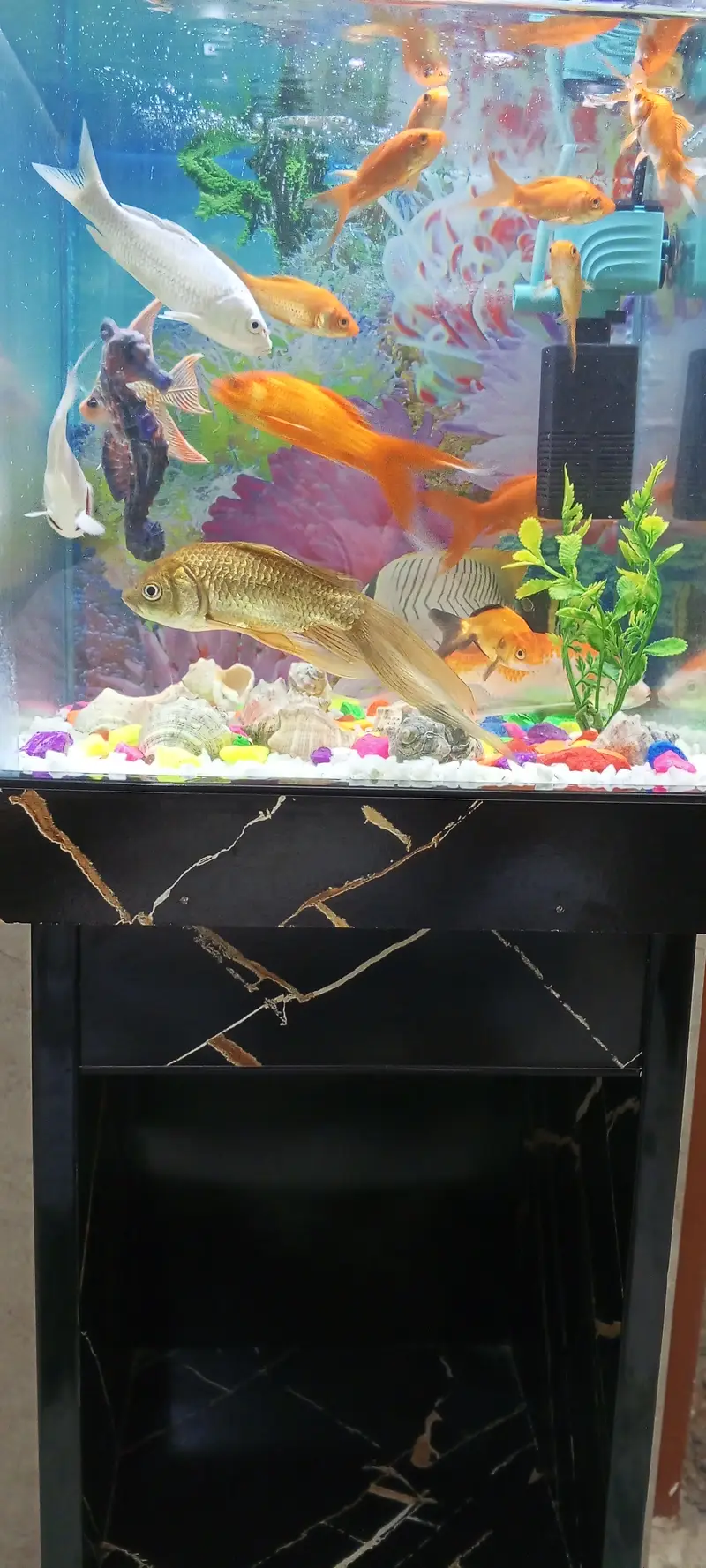 Aquarium for Sale — photo 4