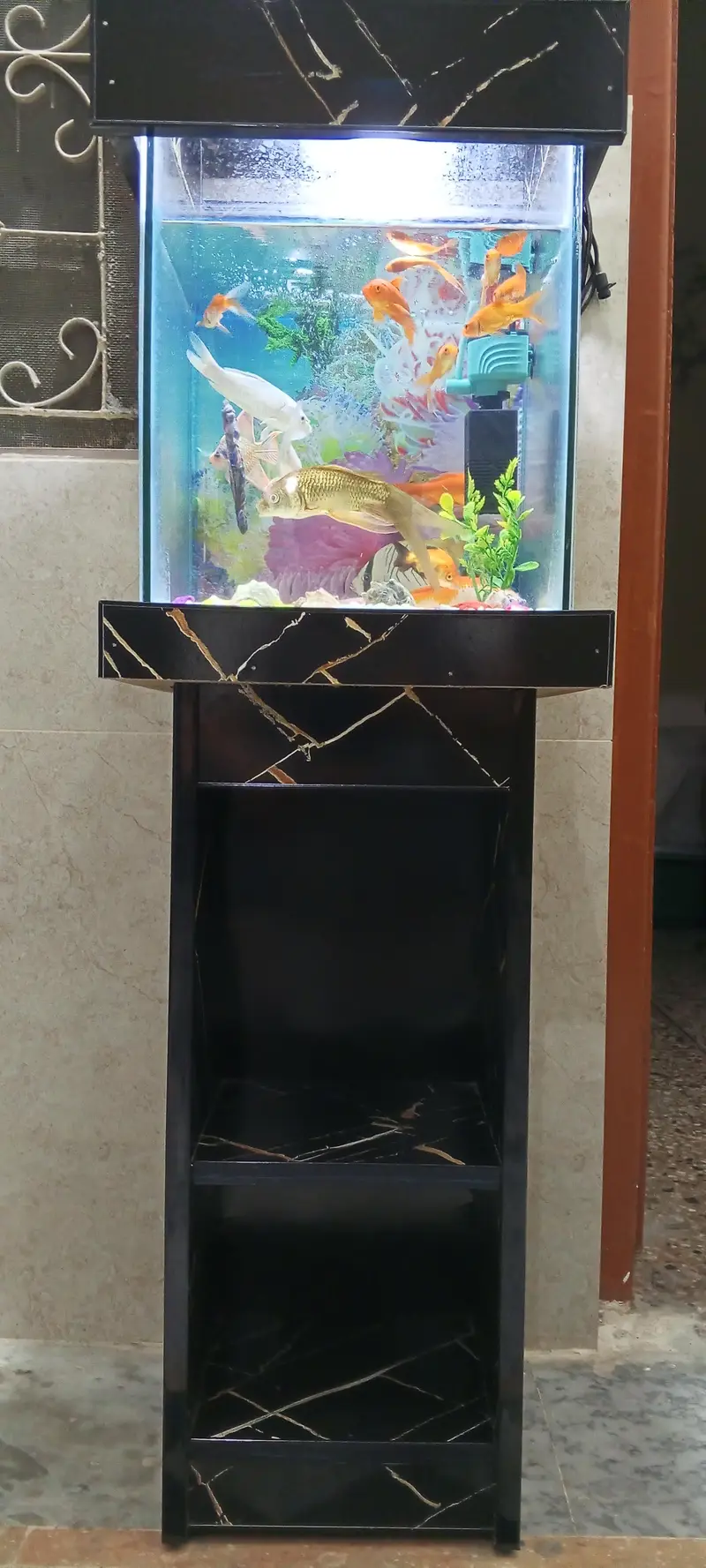 Aquarium for Sale — photo 6