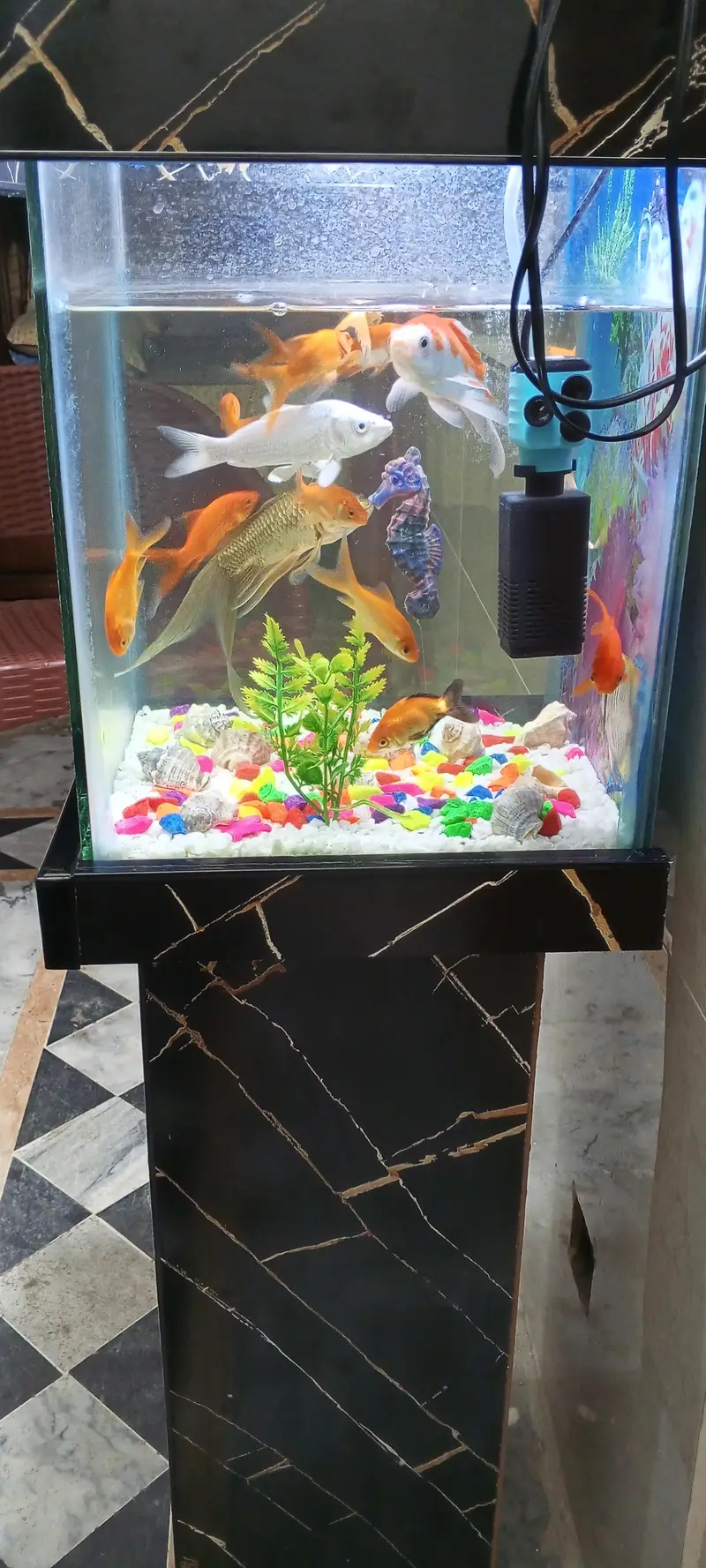 Aquarium for Sale — photo 7