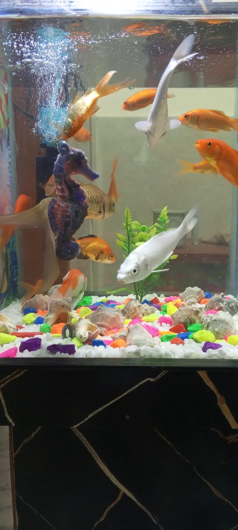 Aquarium for Sale — photo 8