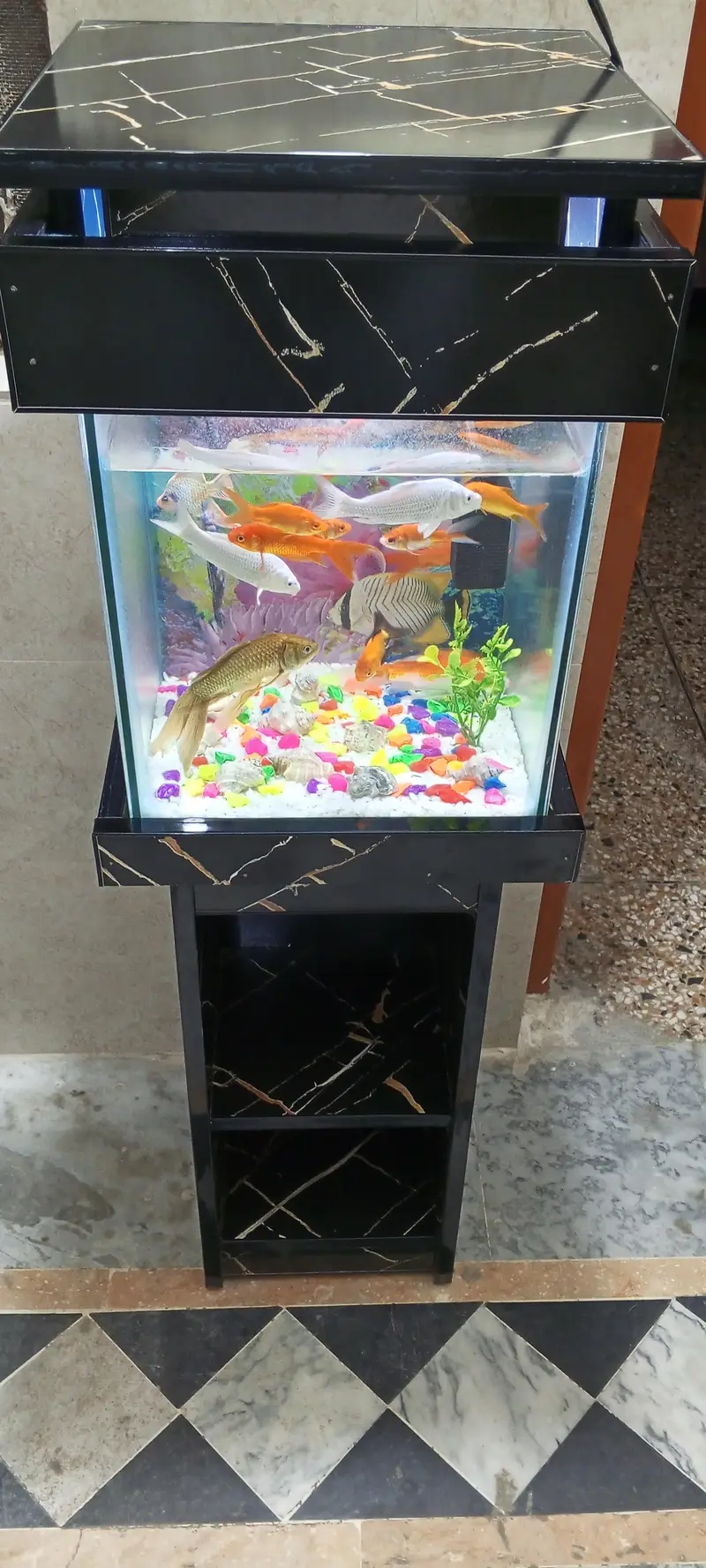 Aquarium for Sale — photo 10