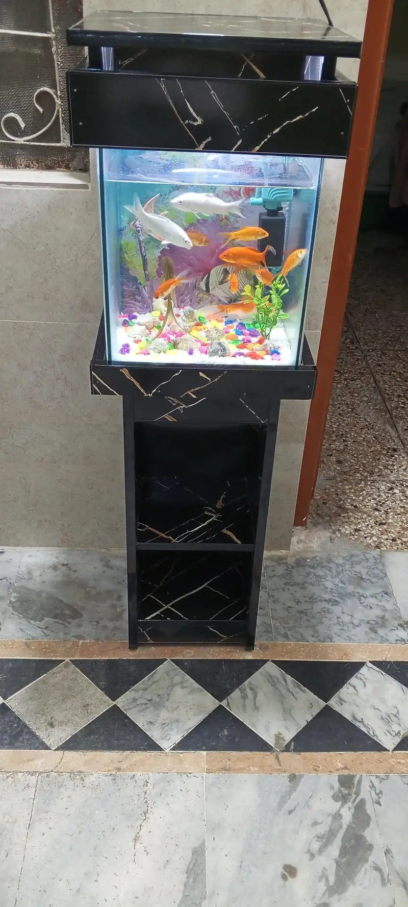 Aquarium for Sale — photo 11