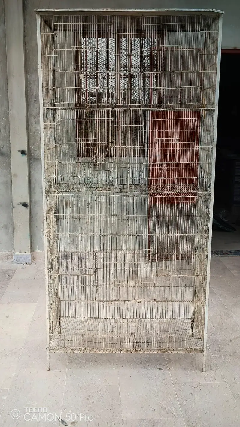 4 khaney opar hai or nichay master cage — photo 2