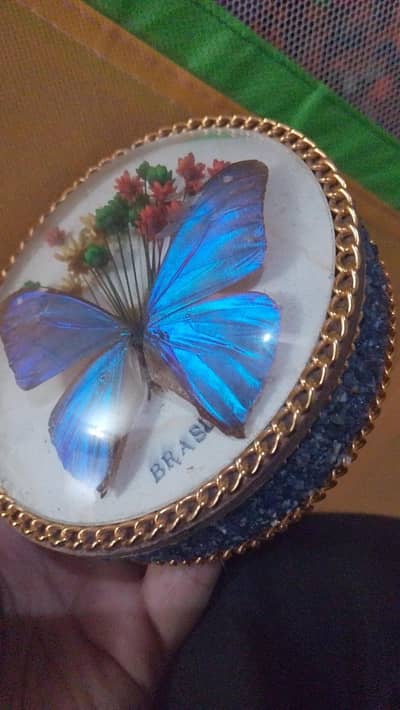 antique jewellery box