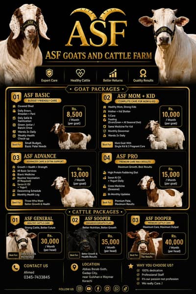 Goats and Cattle farm
