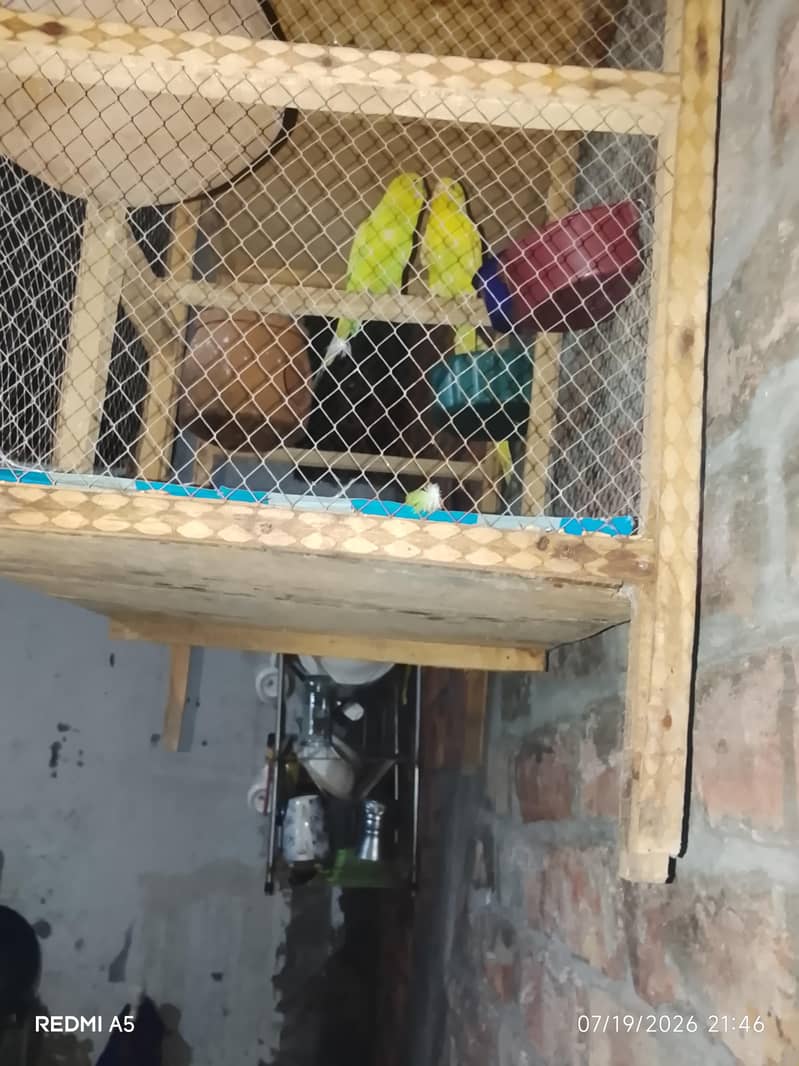 2 pair 3