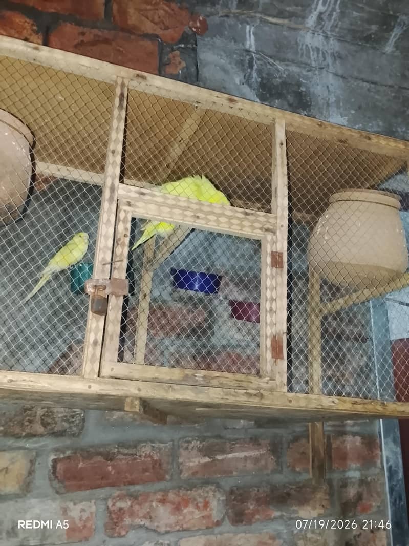 2 pair 5