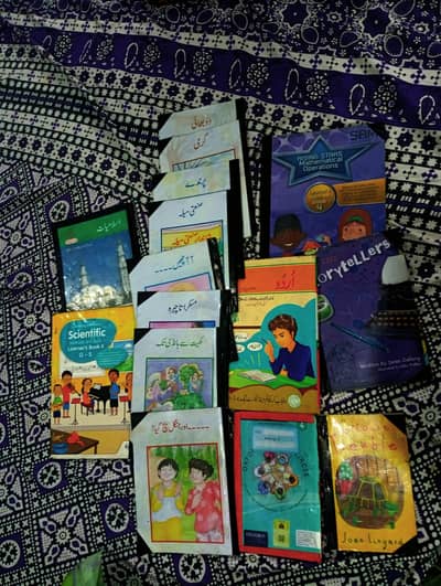 BSS/Beaconhouse school class 4  books