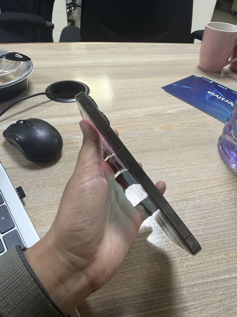 iPhone 13 Pro Max 1