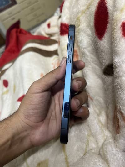 iphone 12 pro 256 pta approved