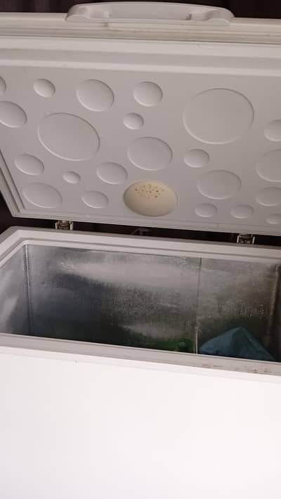 d freezer