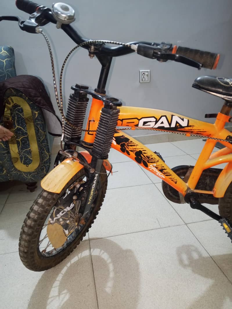 Morgan cycle 1