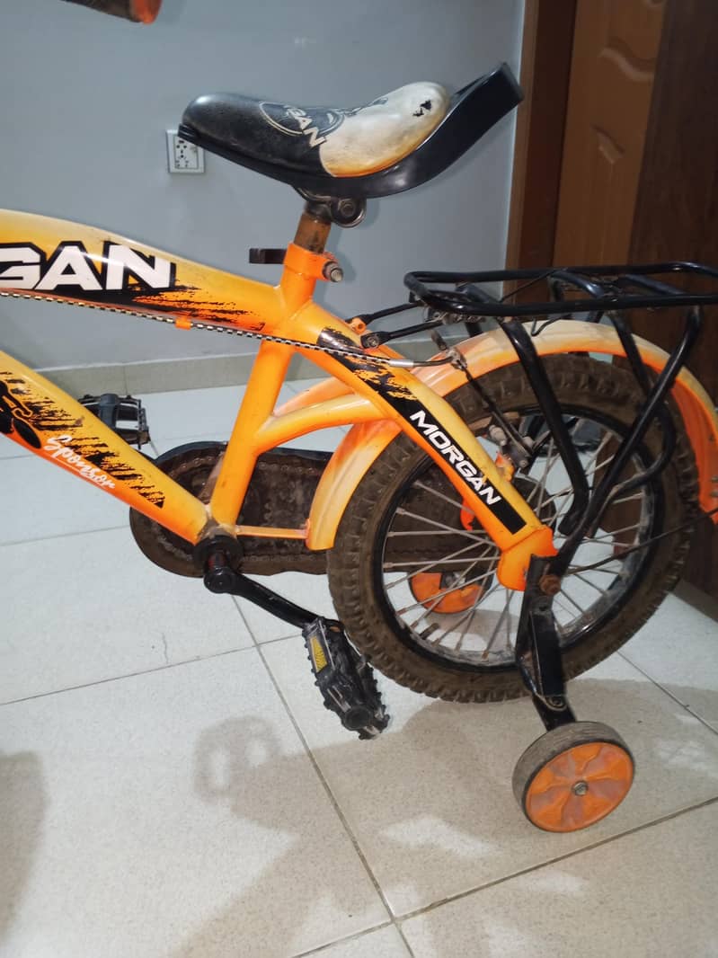 Morgan cycle 2