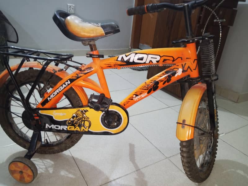 Morgan cycle 3