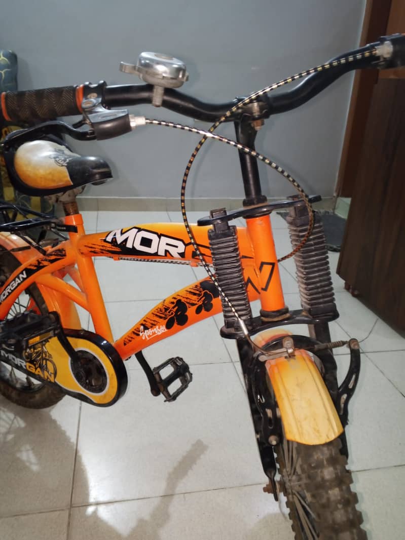 Morgan cycle 4
