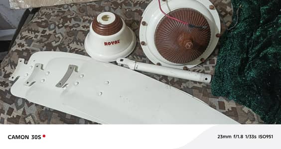 Royal fan