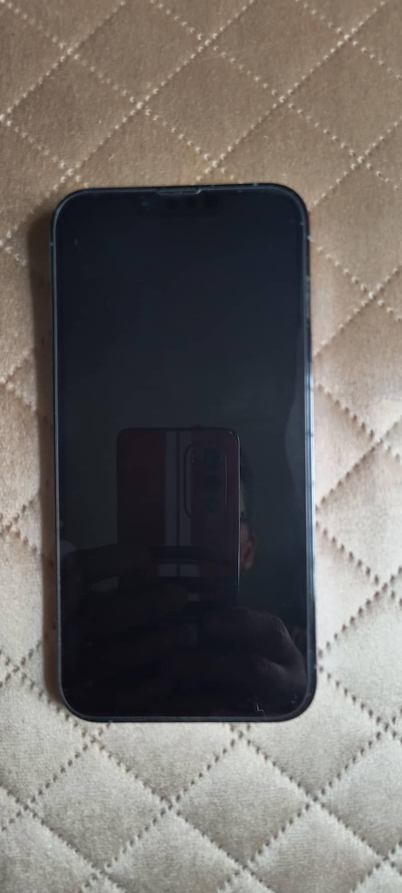 iphone 13pro max 1
