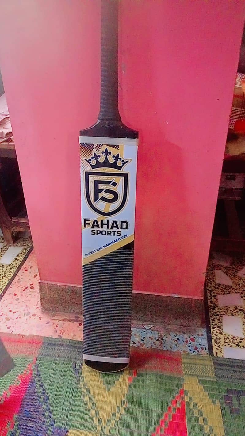 cricket bat 2