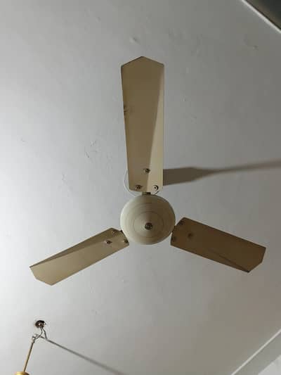 2citizen fan for sale 6000 final
