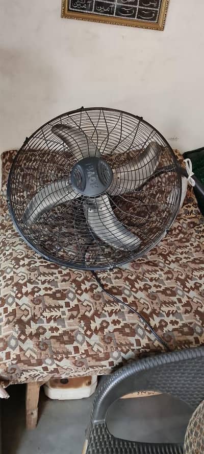 Royal Fan