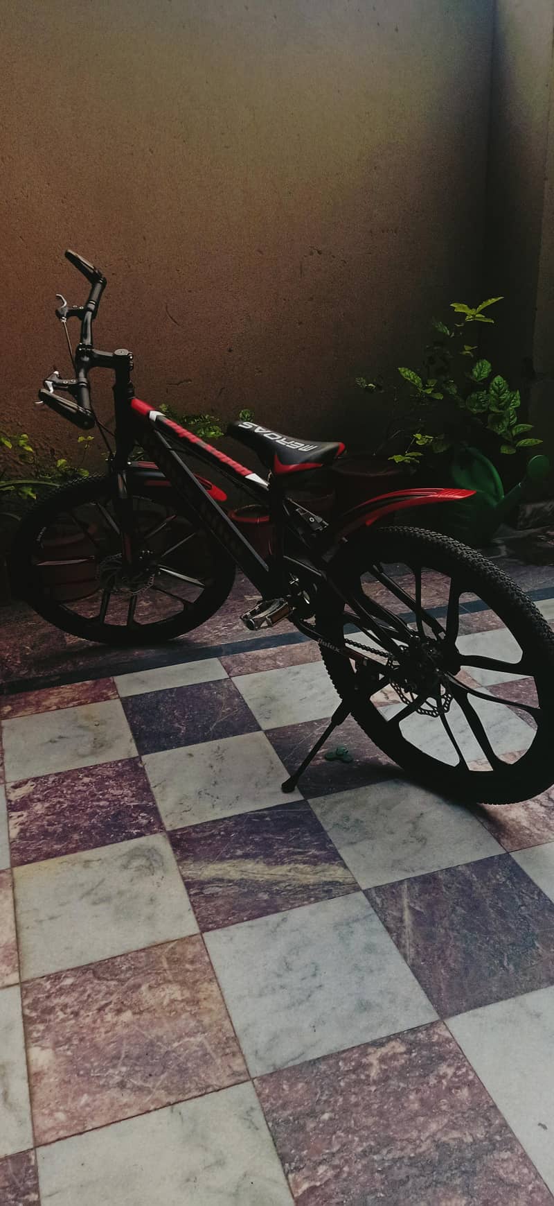 Rolex cycle 1