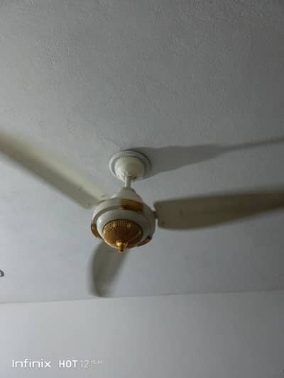 Ceiling fan in lush condition for sale